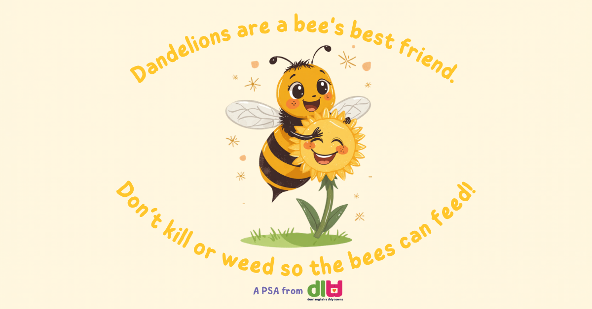A Public Service Announcement from Dún Laoghaire Tidy Towns. 🐝